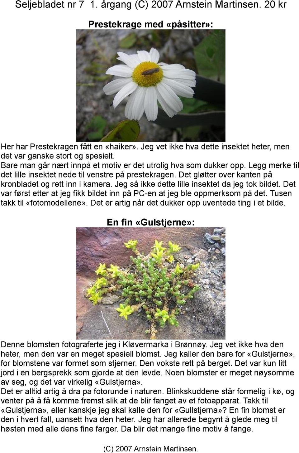 Jeg så ikke dette lille insektet da jeg tok bildet. Det var først etter at jeg fikk bildet inn på PC-en at jeg ble oppmerksom på det. Tusen takk til «fotomodellene».