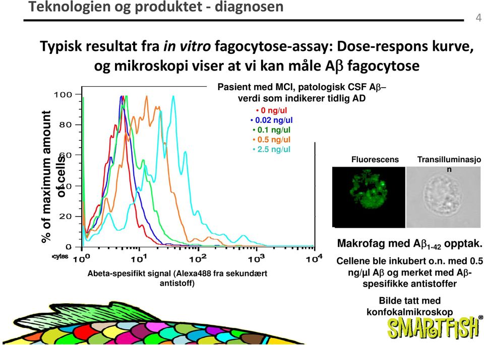 ng/ul 0.02 ng/ul 0.1 ng/ul 0.5 ng/ul 2.5 ng/ul Fluorescens Transilluminasjo n Makrofag med Aβ1-42 opptak.