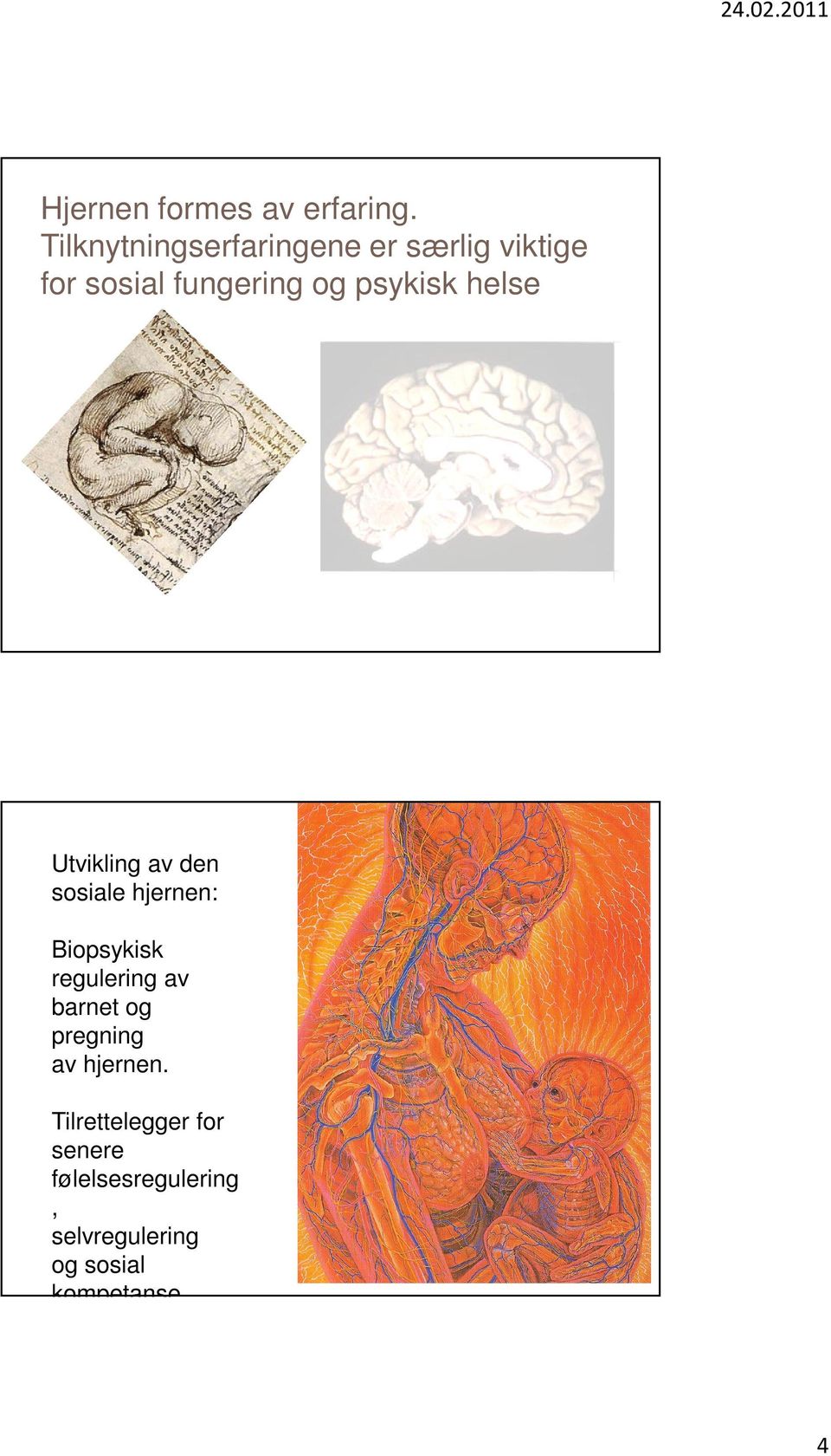 psykisk helse Utvikling av den sosiale hjernen: Biopsykisk regulering av