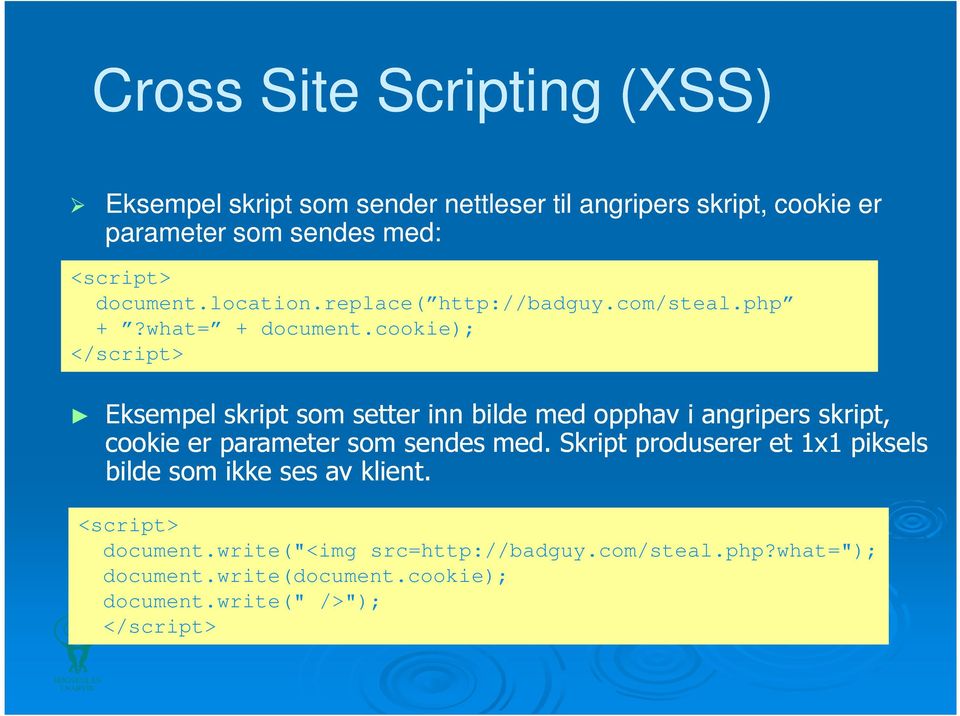 cookie); </script> Eksempel skript som setter inn bilde med opphav i angripers skript, cookie er parameter som sendes med.