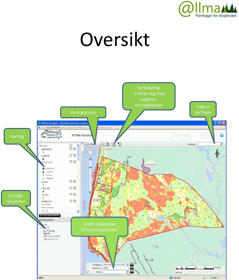 verktøykassen Valg av karttype