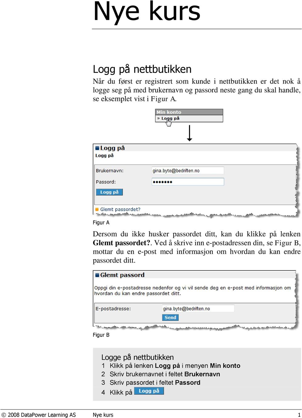 . Ved å skrive inn e-postadressen din, se Figur B, mottar du en e-post med informasjon om hvordan du kan endre passordet ditt.