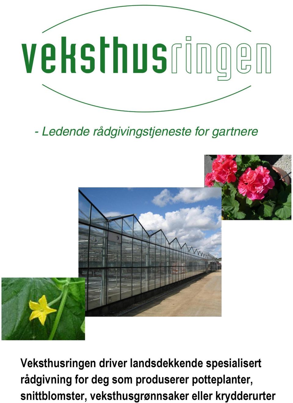 produserer potteplanter,