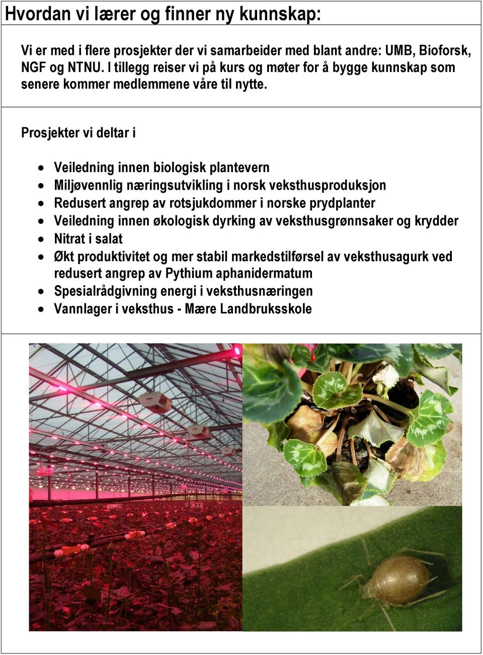 Prosjekter vi deltar i Veiledning innen biologisk plantevern Miljøvennlig næringsutvikling i norsk veksthusproduksjon Redusert angrep av rotsjukdommer i norske prydplanter