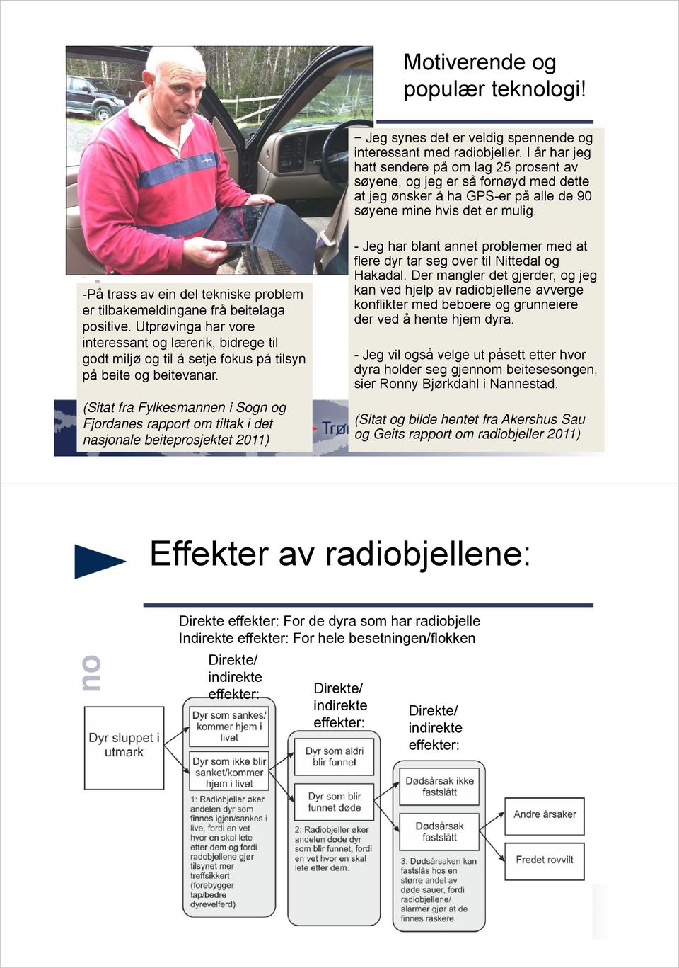 (Sitat fra Fylkesmannen i Sogn og Fjordanes rapport om tiltak i det nasjonale beiteprosjektet 2011) Jeg synes det er veldig spennende og interessant med radiobjeller.