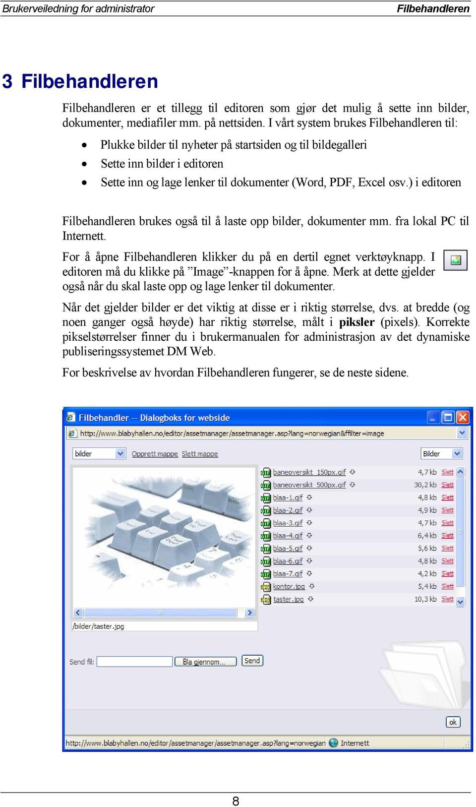 ) i editoren Filbehandleren brukes også til å laste opp bilder, dokumenter mm. fra lokal PC til Internett. For å åpne Filbehandleren klikker du på en dertil egnet verktøyknapp.