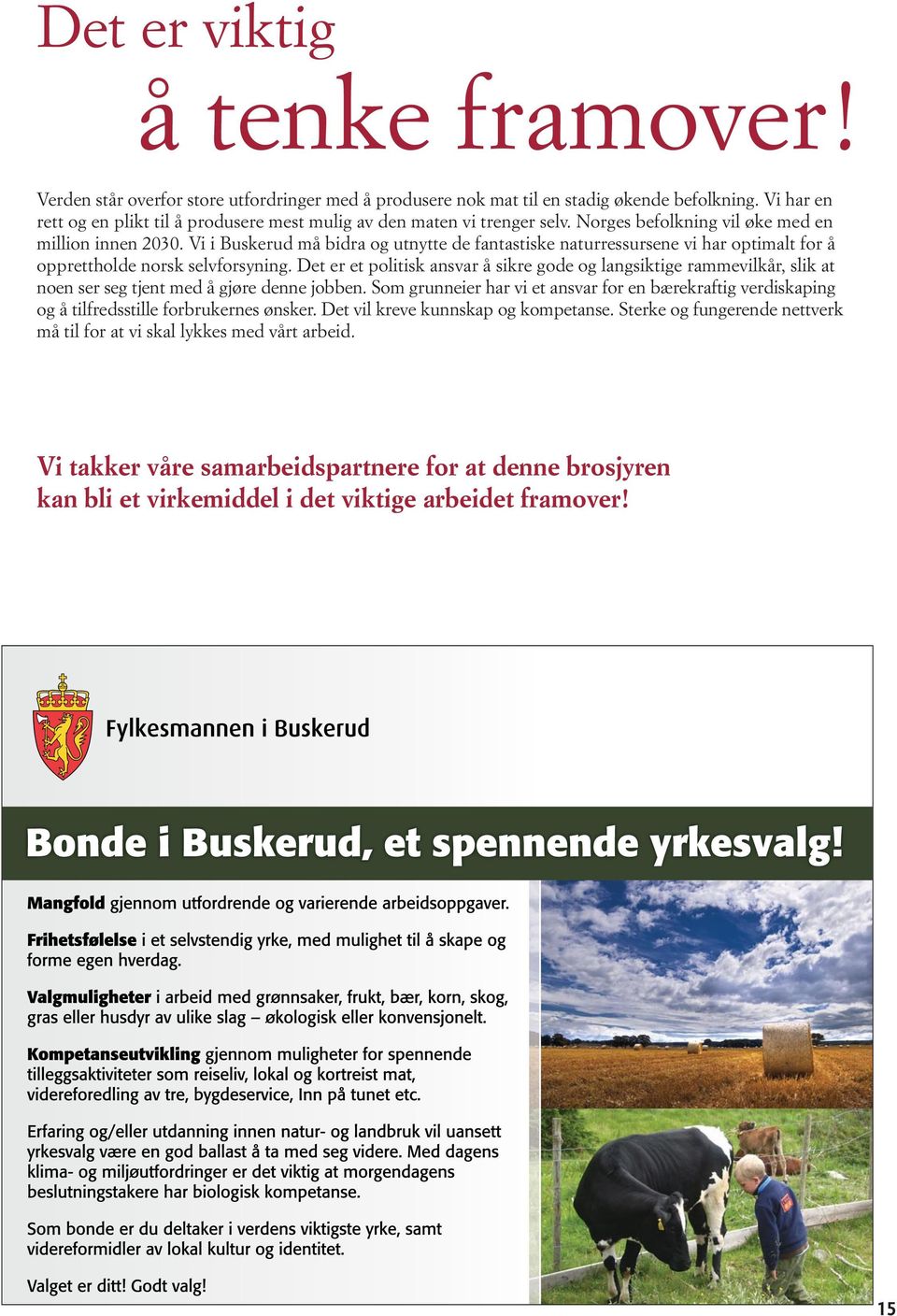 Vi i Buskerud må bidra og utnytte de fantastiske naturressursene vi har optimalt for å opprettholde norsk selvforsyning.