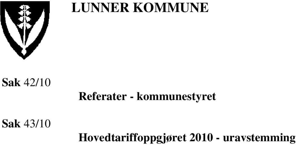 kommunestyret