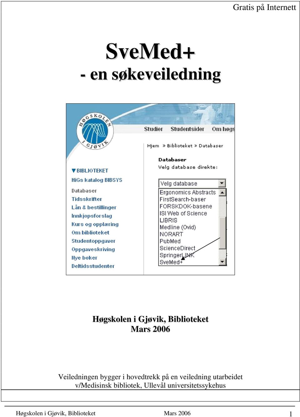 hovedtrekk på en veiledning utarbeidet v/medisinsk bibliotek,