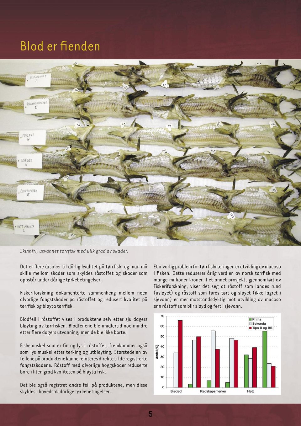 Fiskeriforskning dokumenterte sammenheng mellom noen alvorlige fangstskader på råstoffet og redusert kvalitet på tørrfisk og bløyta tørrfisk.