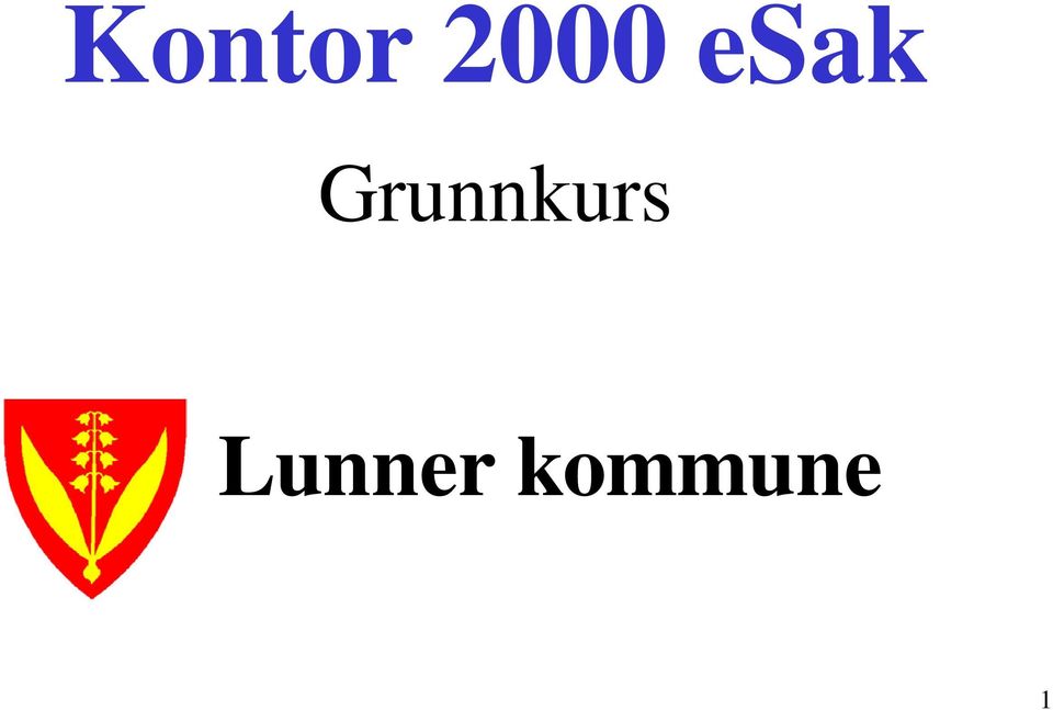 Grunnkurs