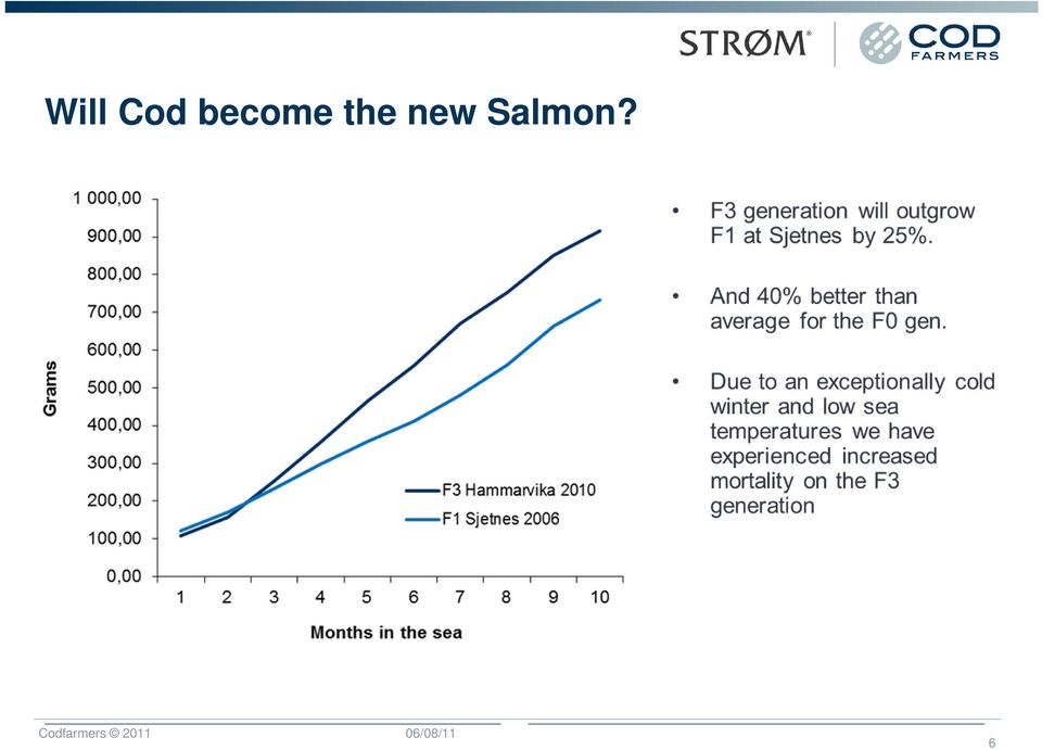 new Salmon?