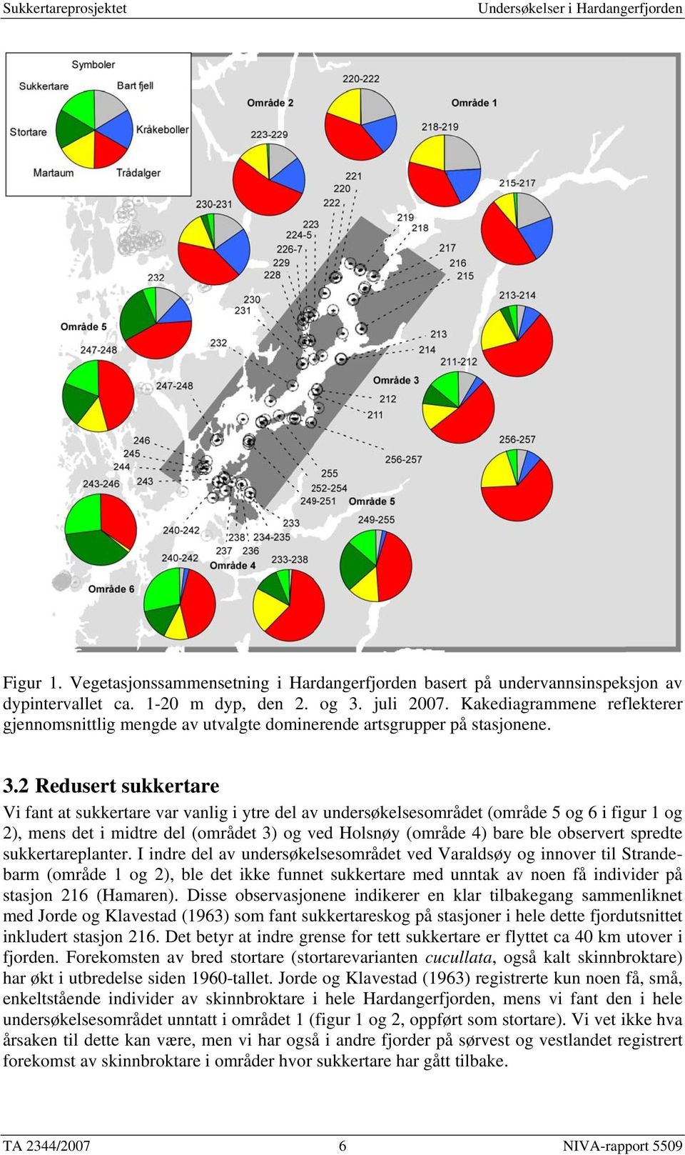 2 Redusert sukkertare Vi fant at sukkertare var vanlig i ytre del av undersøkelsesområdet (område 5 og 6 i figur 1 og 2), mens det i midtre del (området 3) og ved Holsnøy (område 4) bare ble