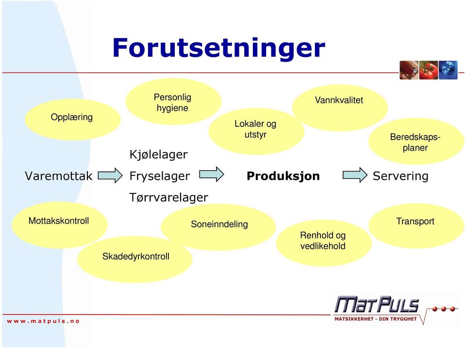 Fryselager Produksjon Servering Tørrvarelager