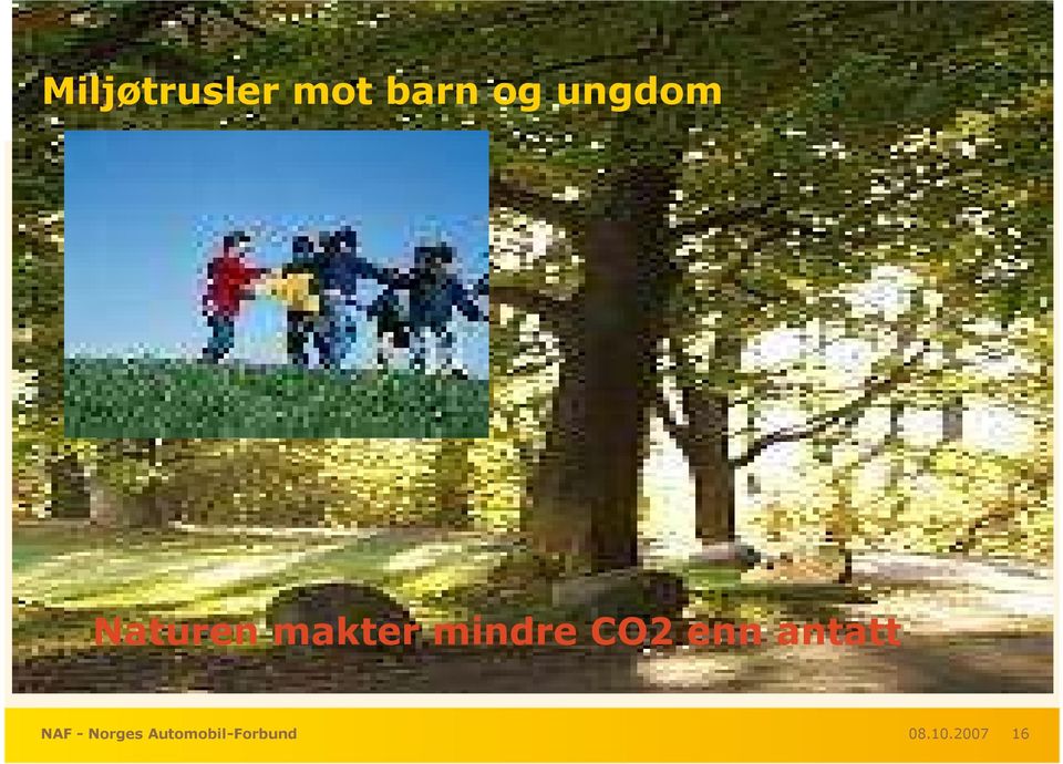 CO2 enn antatt NAF - Norges