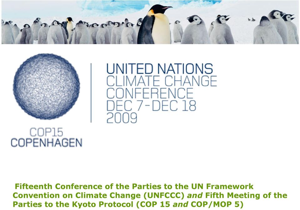 (UNFCCC) and Fifth Meeting of the Parties