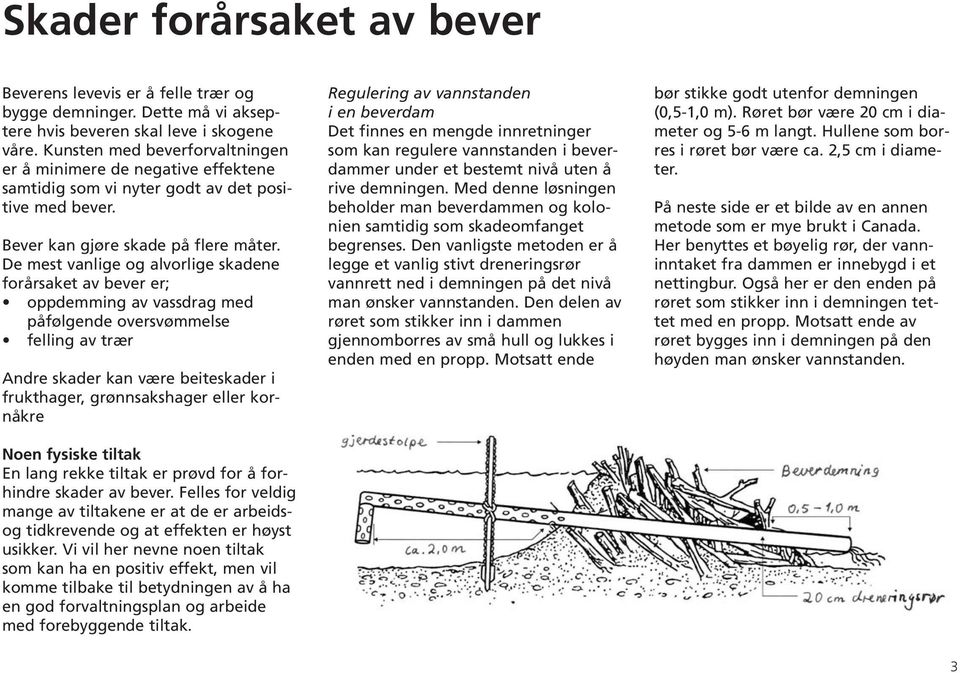 De mest vanlige og alvorlige skadene forårsaket av bever er; oppdemming av vassdrag med påfølgende oversvømmelse felling av trær Andre skader kan være beiteskader i frukthager, grønnsakshager eller