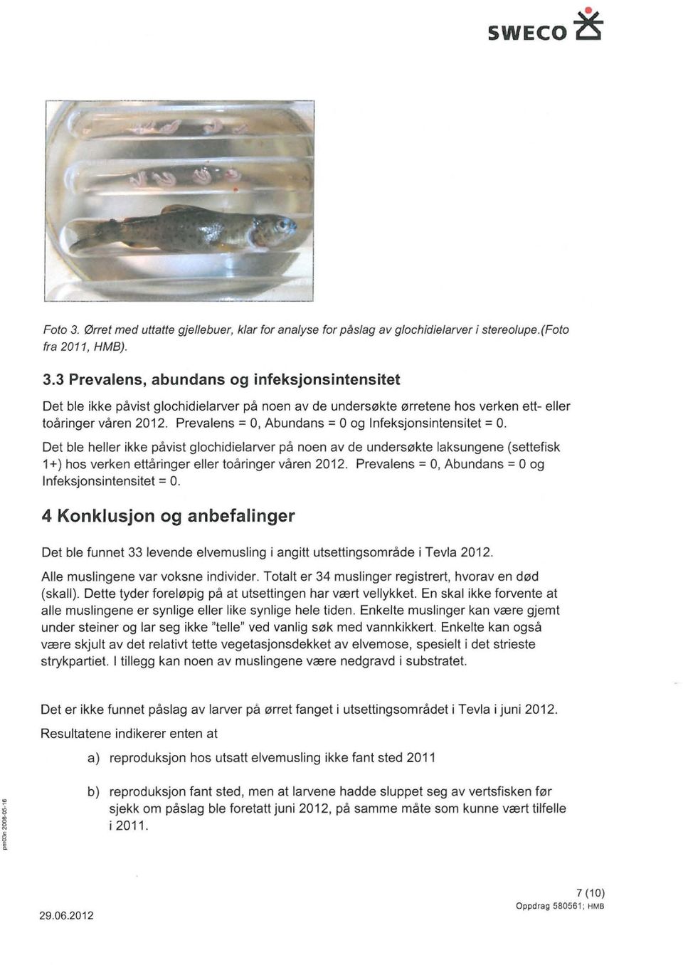 Prevalens =, Abundans = og Infeksjonsintensitet =. 4 Konklusjon og anbefalinger Det ble funnet 33 levende elvemusling i angitt utsettingsområde i Tevla 2012. Alle muslingene var voksne individer.