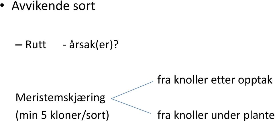 Meristemskjæring (min 5