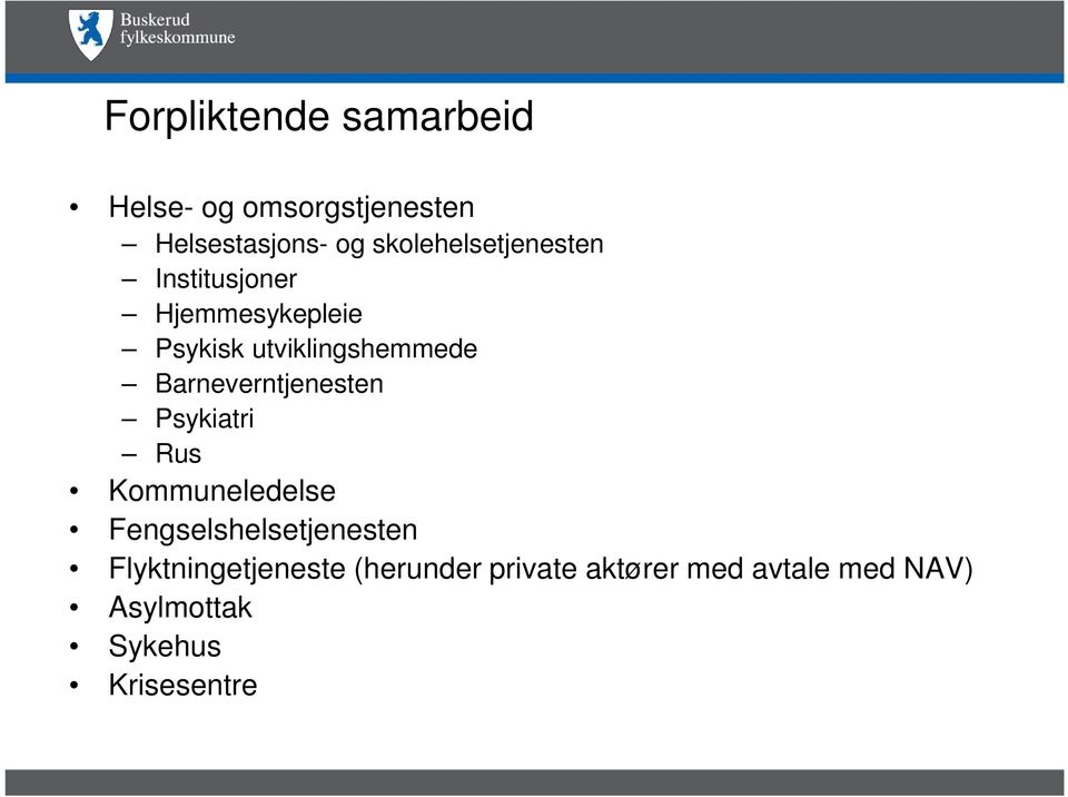 Barneverntjenesten Psykiatri Rus Kommuneledelse Fengselshelsetjenesten