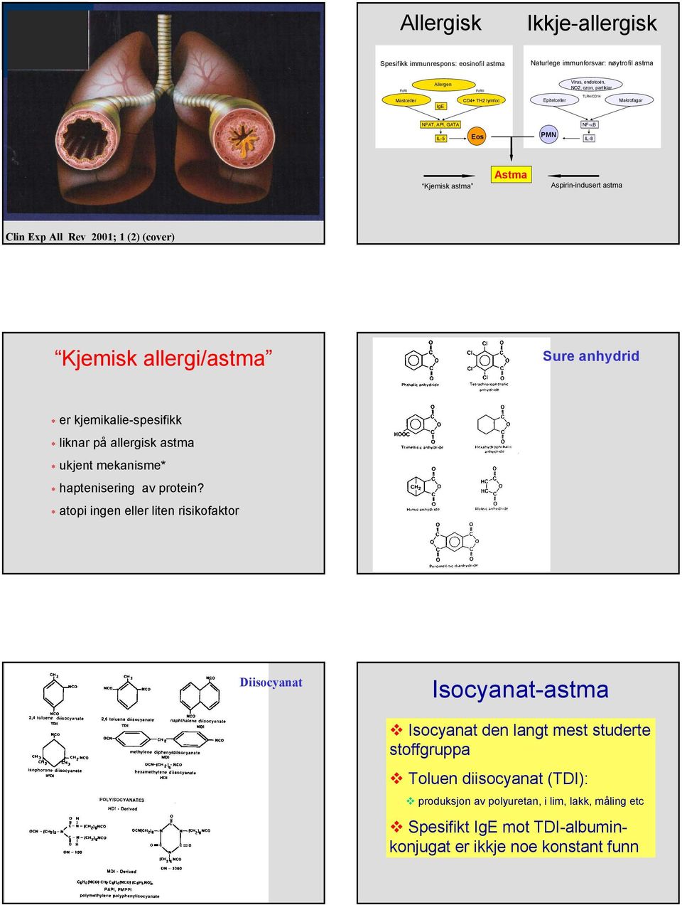 allergi/astma Sure anhydrid er kjemikalie-spesifikk liknar på allergisk astma ukjent mekanisme* haptenisering av protein?
