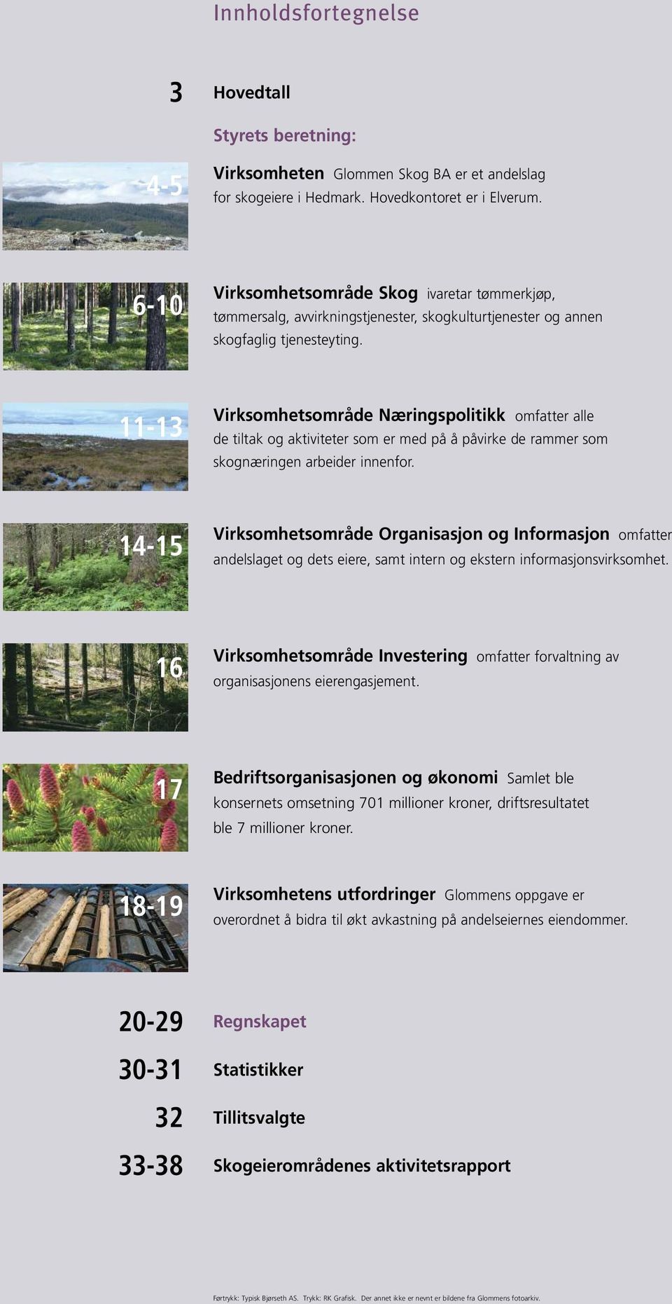 11-13 Virksomhetsområde Næringspolitikk omfatter alle de tiltak og aktiviteter som er med på å påvirke de rammer som skognæringen arbeider innenfor.