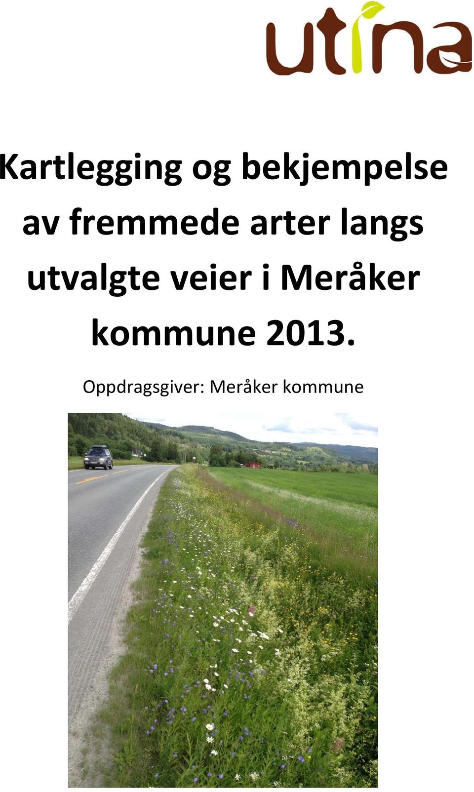veier i Meråker kommune 2013.
