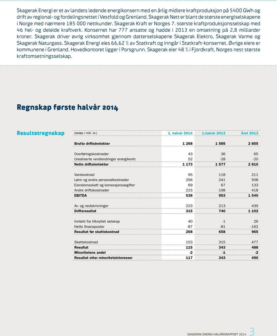 Konsernet har 777 ansatte og hadde i 2013 en omsetning på 2,8 milliarder kroner. Skagerak driver øvrig virksomhet gjennom datterselskapene Skagerak Elektro, Skagerak Varme og Skagerak Naturgass.