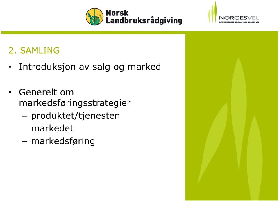 markedsføringsstrategier