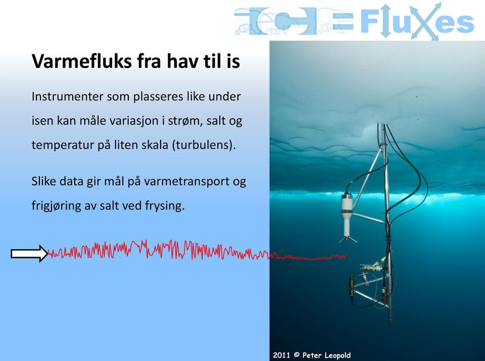 salt og temperatur på liten skala (turbulens).