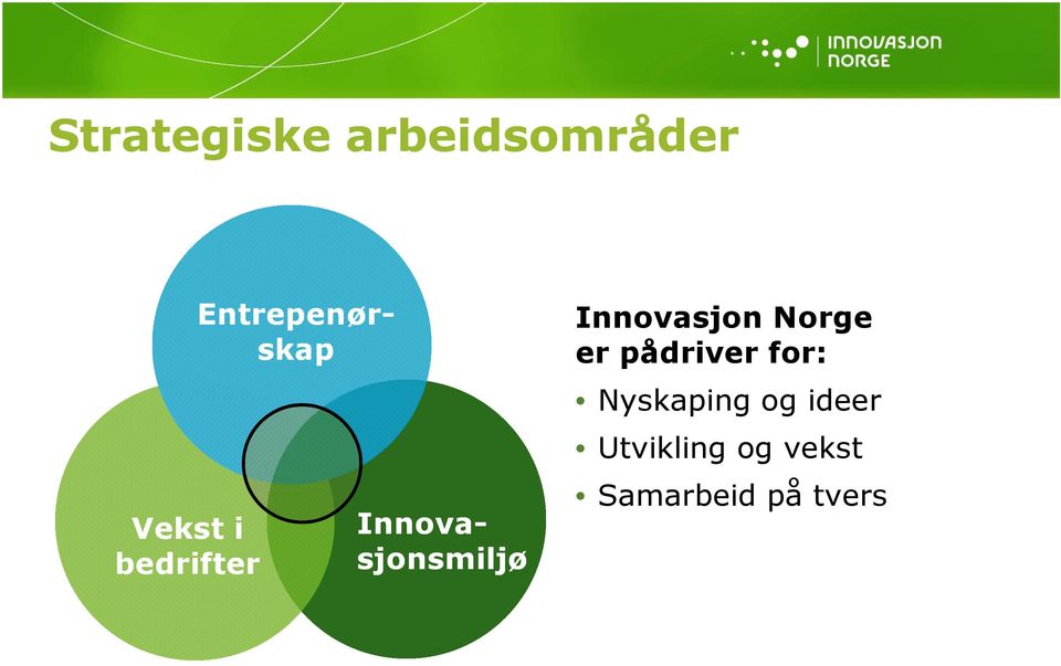 Innovasjon Norge er pådriver for: