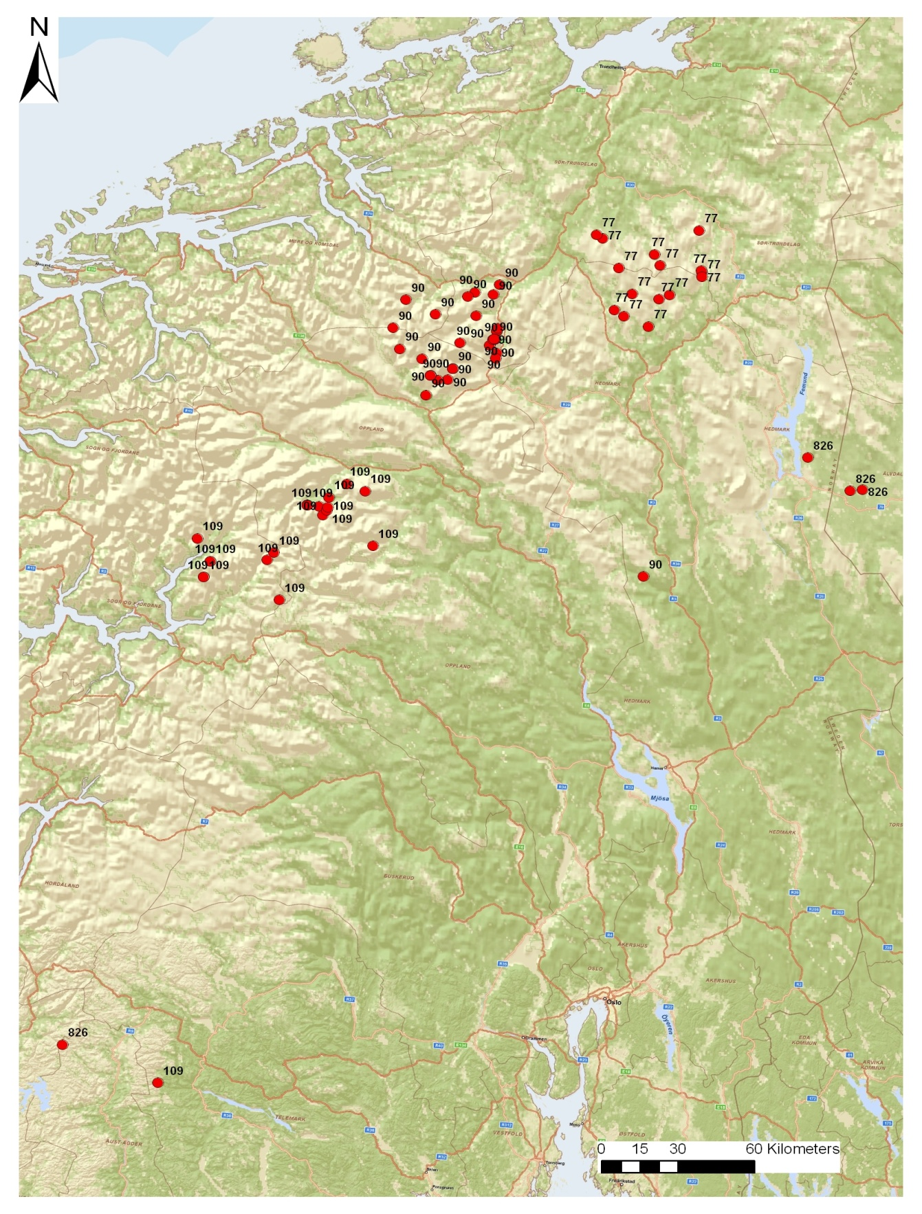 Figur 9 Eksempler på områdebruk for fire hanner i Sør-Norge. Tre av dem har brukt meget store områder (>1000 kvadratkilometer) siden de første gang ble identifisert i 2002 og 2003.