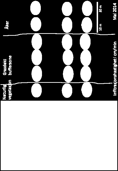 Fra Skarbøvik og