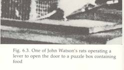 34 J. B. Watson (1878 1958) Psykologi skulle kun omfatte fenomener som kunne måles reliabelt.