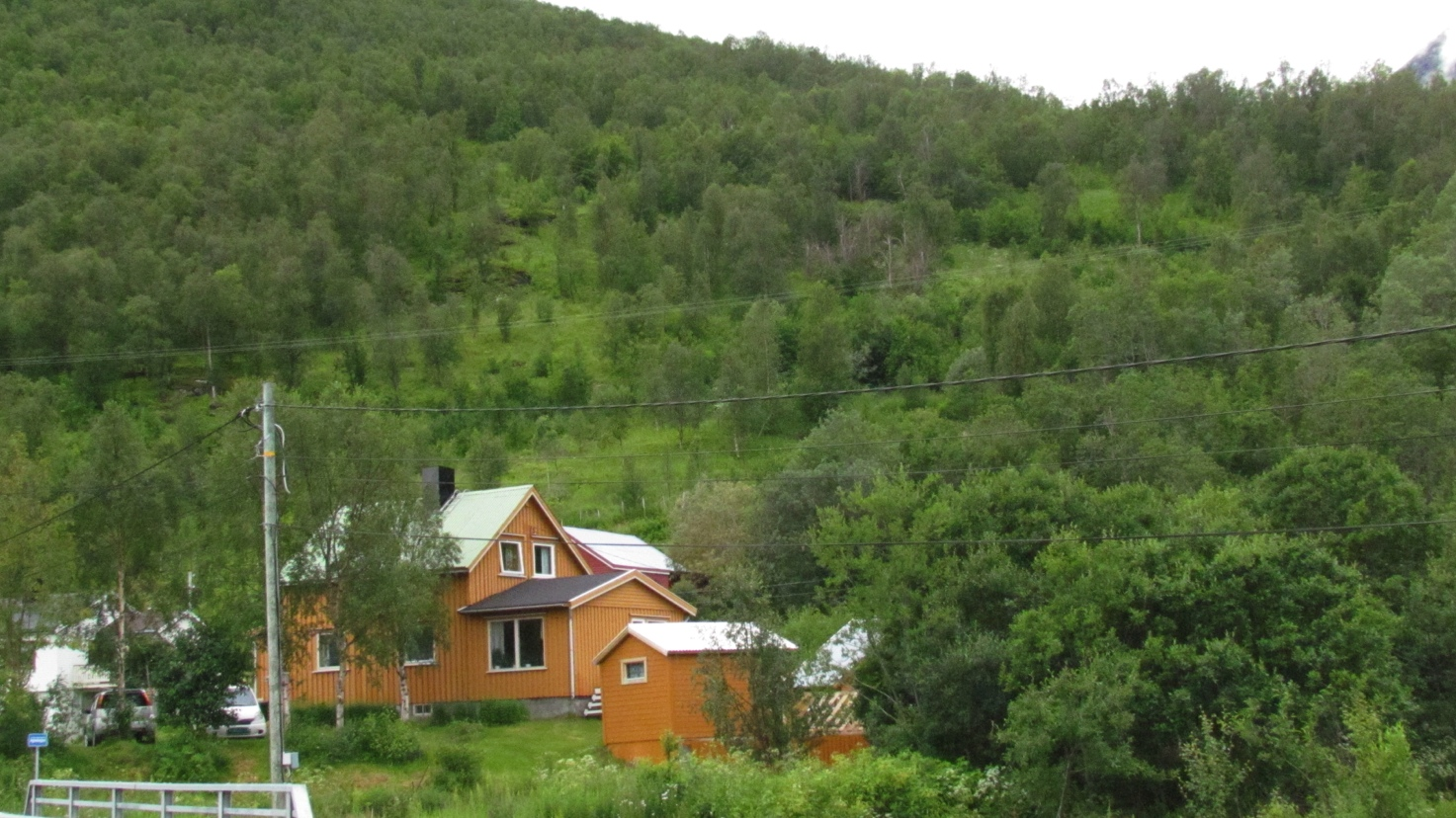 Ecofact rapport 240 Naturtypekartlegging av skogslått i Skárfvággi/ Skardalen Gáivuona
