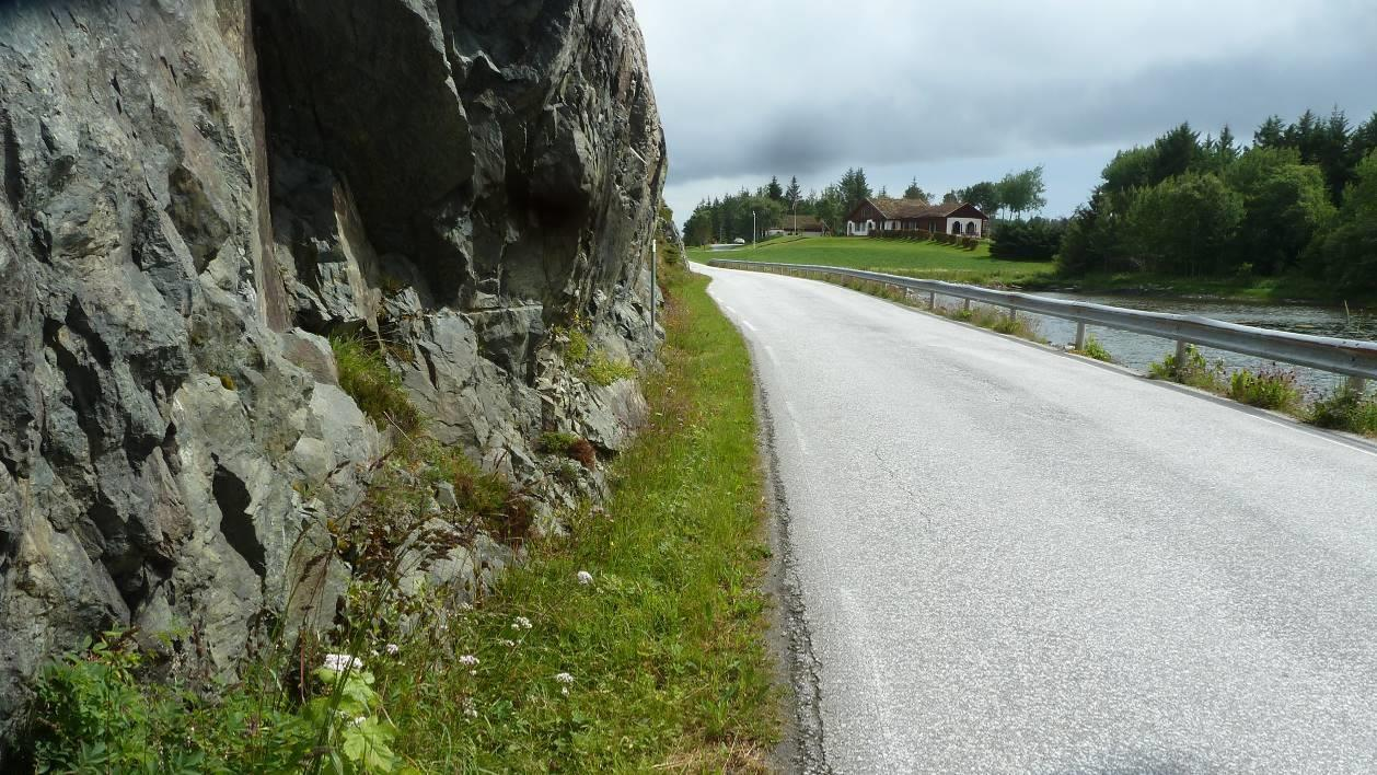 delnaturtype vei- og jernbanekant, tørreng i mosaikk med frisk-fuktig utforming. Artsmangfold. I den avgrensa naturtypen ble det registrert noen små busker og trær av platanlønn, einer, osp og ask.