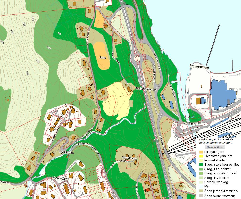 Figur 3. Planområdet har et sparsomt løsmassedekke, men ned mot Arnavågen finnes et tynt lag med morene (kilde: www.ngu.