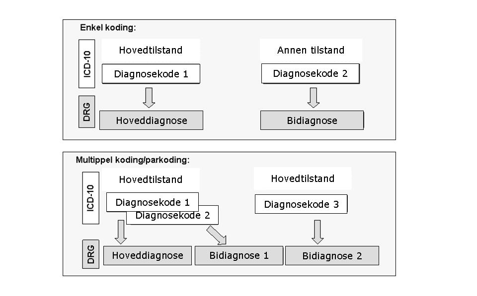 1.2 Multippel koding Ved multippel koding beskrives én og samme tilstand med mer enn én kode.