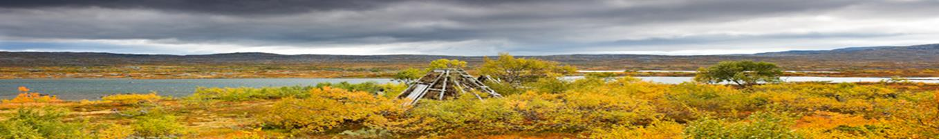 VEDTEKTER FOR NASJONALPARKSTYRET 7. Om møtene i nasjonalparkstyret 8. Styrets oppgaver Kommuneloven kap.6 og 40. Minst 4 ganger hvert år. Leder eller minst en tredel av medl. Innkalling 2 uker varsel.