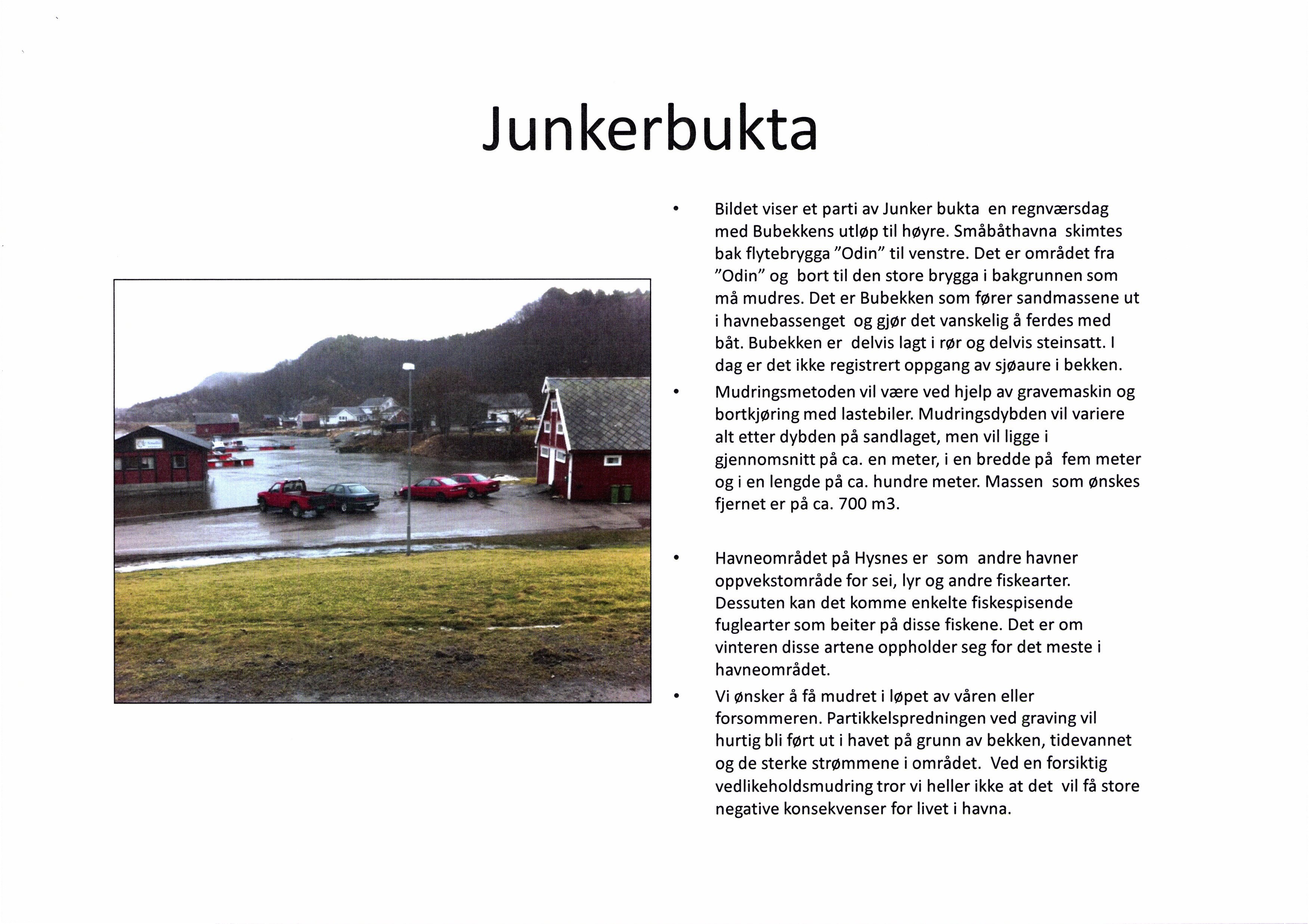Junkerbukta. Bildet viser et parti av Junker bukta en regnværsdag med Bubekkensutløp til høyre. Småbåthavna skimtes bak flytebrygga "Odin" til venstre.