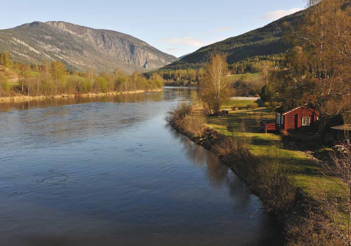 Fase 2 utredningsfasen I denne fasen blir konsekvensene utredet i samsvar med det fastsatte programmet.