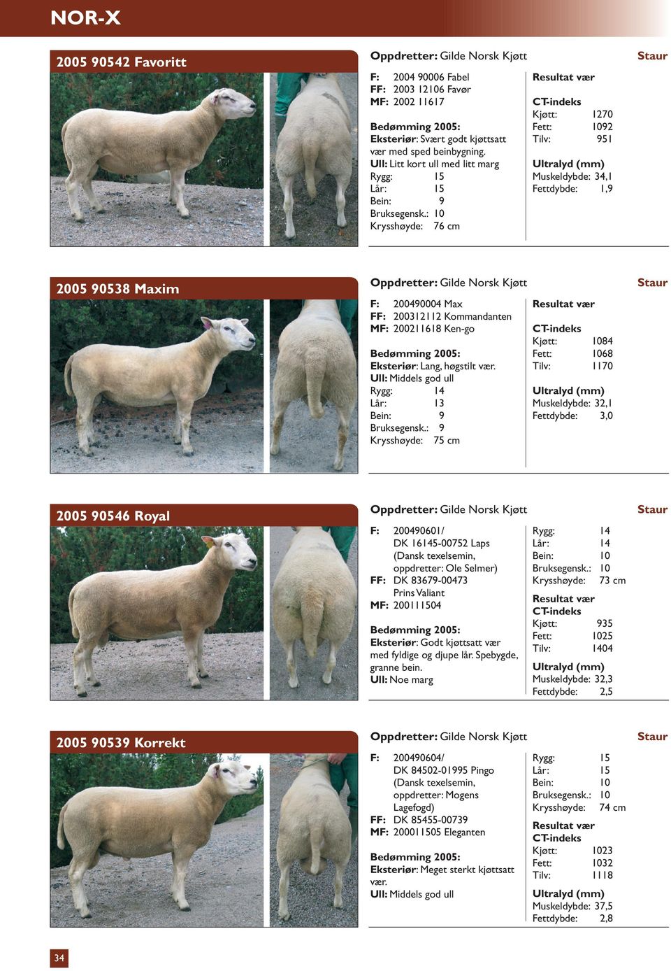 vær. Ull: Middels god ull Lår: 13 Krysshøyde: 75 cm Kjøtt: 1084 Fett: 1068 Tilv: 1170 Muskeldybde: 32,1 Fettdybde: 3,0 2005 90546 Royal F: 200490601/ DK 16145-00752 Laps (Dansk texelsemin,