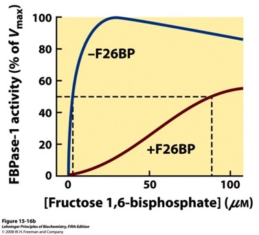 Omvei 2: Fruktose- 2,6- bisfosfat (F26BP) er en potent allosterisk regulator av PFK- 1 og FBPase- 1.