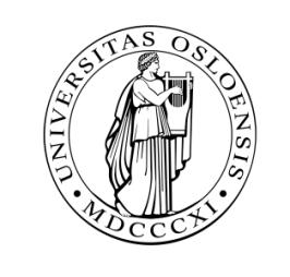 NYTT MEDVIRKNINGSANSVAR I STRAFFERETTEN Universitetet i Oslo Det juridiske