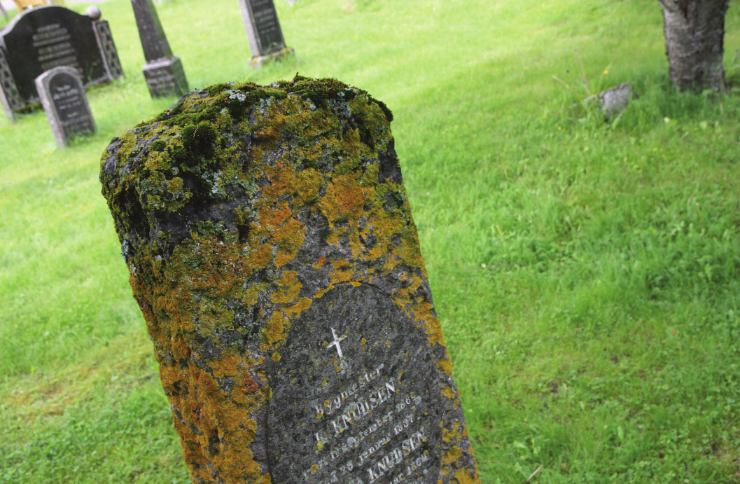 Eksempel på gravminne hvor mose bør fjernes fra