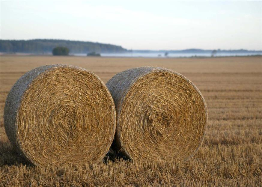 Halm som biobrensel 1 stor rundball, ca 250kg halm fra ett dekar korn - 1000kwh