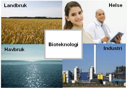 Nasjonal strategi for bioteknologi: 4 tematiske og 4 strukturelle områder