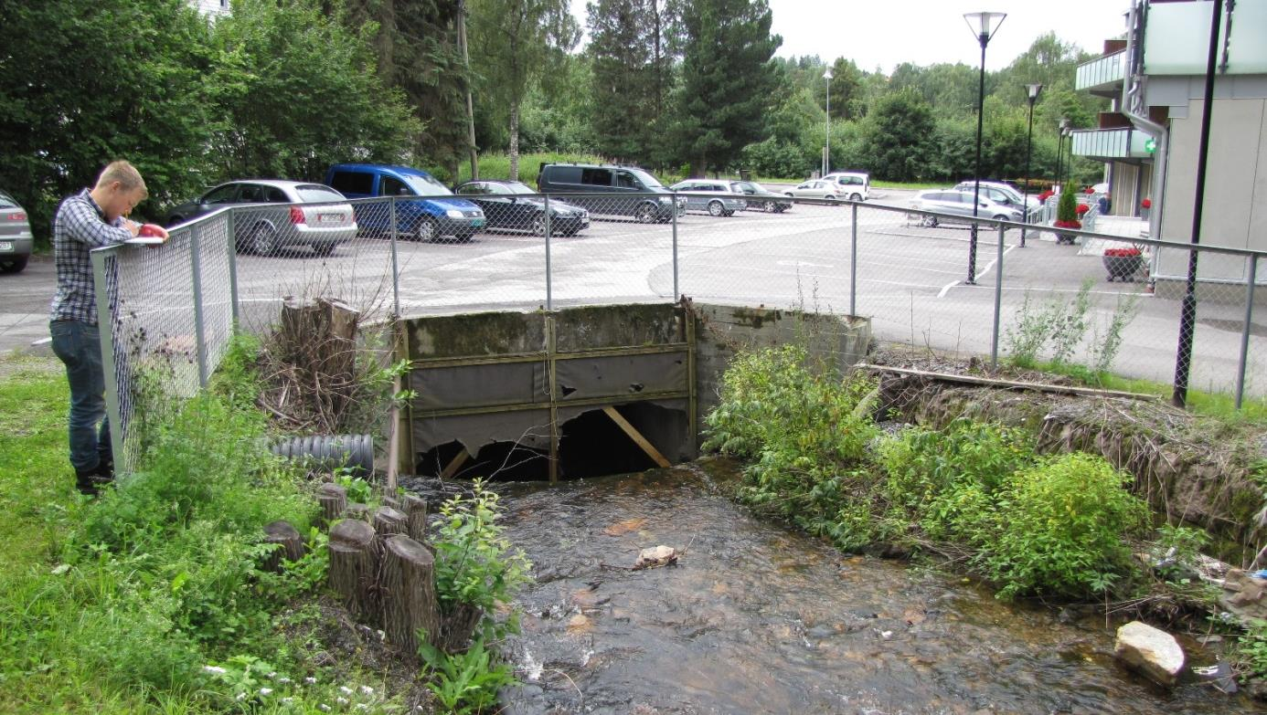 Bilde 1. Vigga og Rosendal mølle. Bildet viser tydelig demningen som i dag fungerer som et effektivt vandringshinder for ørret. Bilde 2.