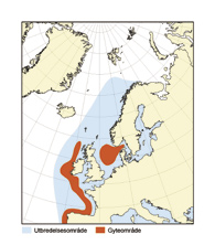 15 HAVETS RESSURSER OG MILJØ 25 K APITTEL 4 ØKOSYSTEM NORDSJØEN/SKAGERRAK 4.2.3.2 Makrell Den nordøstatlantiske makrellbestanden består av tre gytekomponenter, sørlig, vestlig og nordsjømakrell.