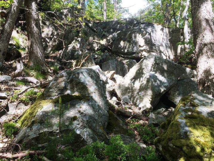 Området F1 Nordlige fjellvegg til tursti som går mellom Grendehus og skolens området. Det dannes store blokker som velter ut og blir liggende i bunnen av skjæringen.